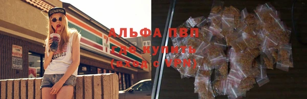 гашик Медногорск