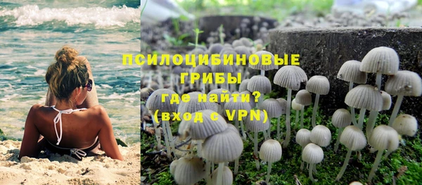 гашик Медногорск