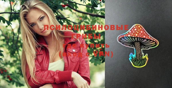 гашик Медногорск
