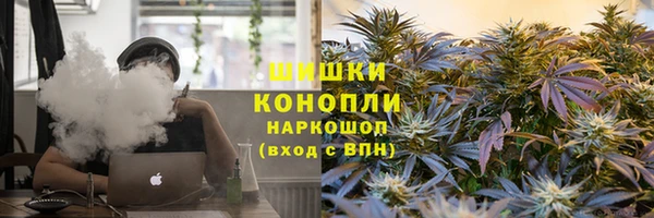 гашик Медногорск