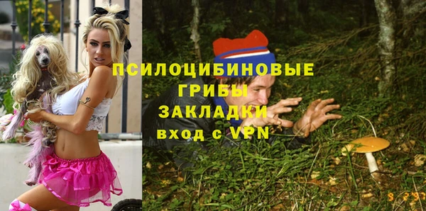 гашик Медногорск